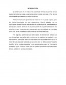 MIS METAS.REFLEXIÓN