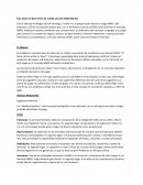 Caso Lord Of the Rings Online ensayo en ingles