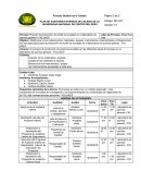 Plan de auditoria interna