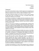 Comunicacion soldados