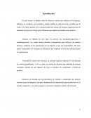 Factores externos, inmediato y mediato que influyen en la empresa