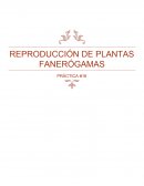 Como se da la Práctica 16