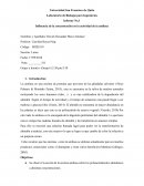 Influencia de la concentración en la actividad de amilasa