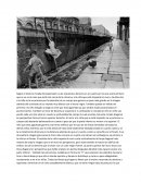 COMO SE DA ALGO DE VISION