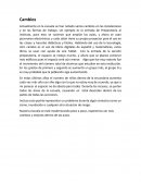 Como es que se da Cambios IP