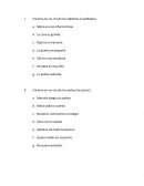 Guia estudio adjetivos, tipos texto y otros segundo basico