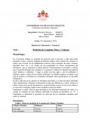 Metodología: Informe de laboratorio