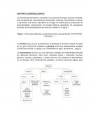 SUSTRATO LIGNOCELULÓSICO