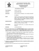 Acta de inicio de la ejecución