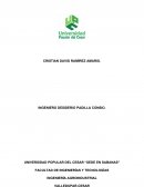 Ensayo de cacao TRABAJO DE INVESTIGACIÓN DE OPERACIONES.