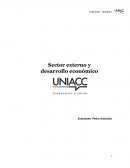 Macroeconomía: Sector externo y desarrollo económico