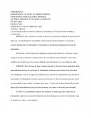 RESOLUCION: LA GRAN OPOSICION MEDIDA CAUTELAR