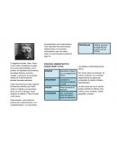 Omo se da la Escuela clásica