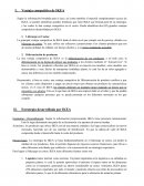 Liderazgo en Costos: El gran Desarrollo de Plan Estratégico