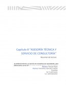 LA ASISTENCIA TÉCNICA Y SERVICIOS DE CONSULTORÍA