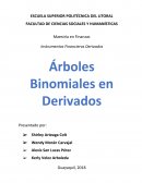 Maestría en Finanzas Instrumentos Financieros Derivados