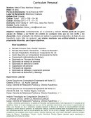 Ejhemplo de lo que es un Curriculo