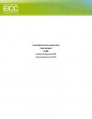 Como actua la CONTEXTUALIZACIÓN