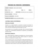 Proceso de atencion de enfermeria. PERFIL DEL PACIENTE