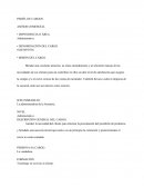 PERFÍL DE CARGOS ASESOR COMERCÍAL