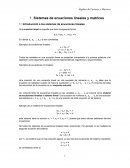 Sistemas de ecuaciones lineales y matrices
