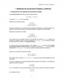 Sistemas de ecuaciones lineales y matrices