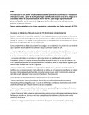 PINION VIDEO - PANTALLAS DE VISUALIZACION.