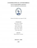 Informe de clima laboral en una empresa de Trujillo