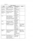 Materiales para practicas innovadoras