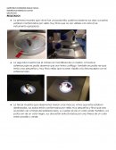 Práctica microscopio