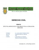 ENSAYO: EFECTOS JURIDICOS DEL CONCUBINATO EN LA LEGISLACION MEXICANA.