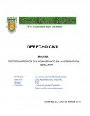 ENSAYO: EFECTOS JURIDICOS DEL CONCUBINATO EN LA LEGISLACION MEXICANA.