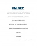 Auditoria administrativa UNIVERSIDAD DEL DESARROLLO PROFESIONAL