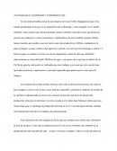 Tecnologia para la sostenibilidad y rentabilidad del cafe