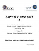 Efectos del cambio cultural en las profesiones