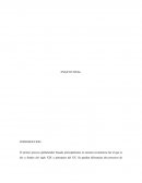 ¿Por qué el presidente Trump impuso aranceles al acero y al aluminio y no a otros productos?