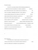 Descripcion empresa “SAN JOR”