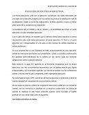 EVOLUCIÓN DE LOS TÍTULOS EJECUTIVOS