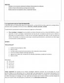 La organización textual: PLAN DE REDACCIÓN