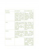 Cuadro comparativo biomoleculas