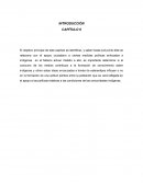 SITUACIÓN ACTUAL DE LOS PUEBLOS INDÍGENAS