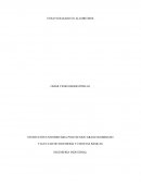 Un Ensayo basado el algoritmos