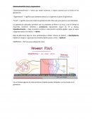 Glomerulonefritis Focal y Segmentaria