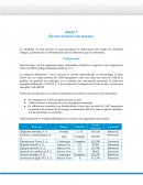 Estructura contable. Intenta realizar un análisis de los riesgos ergonómicos y psicosociales que afectan al usuario de PVDs.
