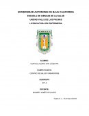 PLAN DE CUIDADOS DIAGNOSTICO DE ENFERMERÍA (NANDA) CODIGO Y DEFINICION