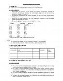 Observaciones en huaycan-trabajo