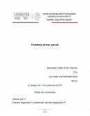 Portafolio primer parcial de TICs