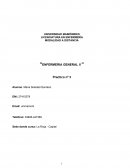 Pract. enfermeria general II