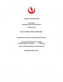 Problemas en el bosque seco de Lambayeque