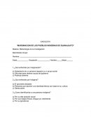 ENCUESTA “MARGINACION DE LOS PUEBLOS INDIGENAS DE GUANAJUATO”